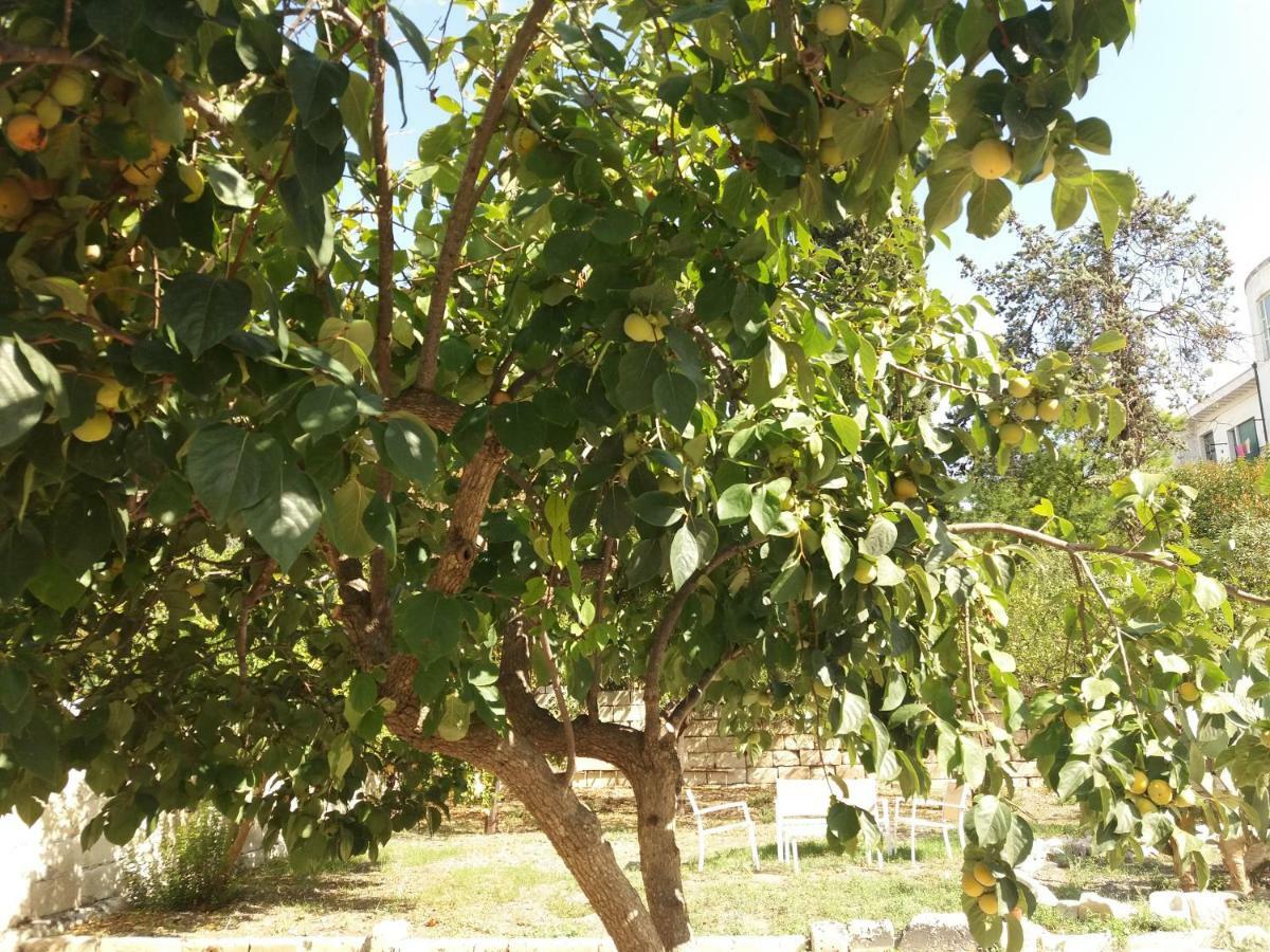 Il Giardino Delle Margherite Lecce Exterior photo