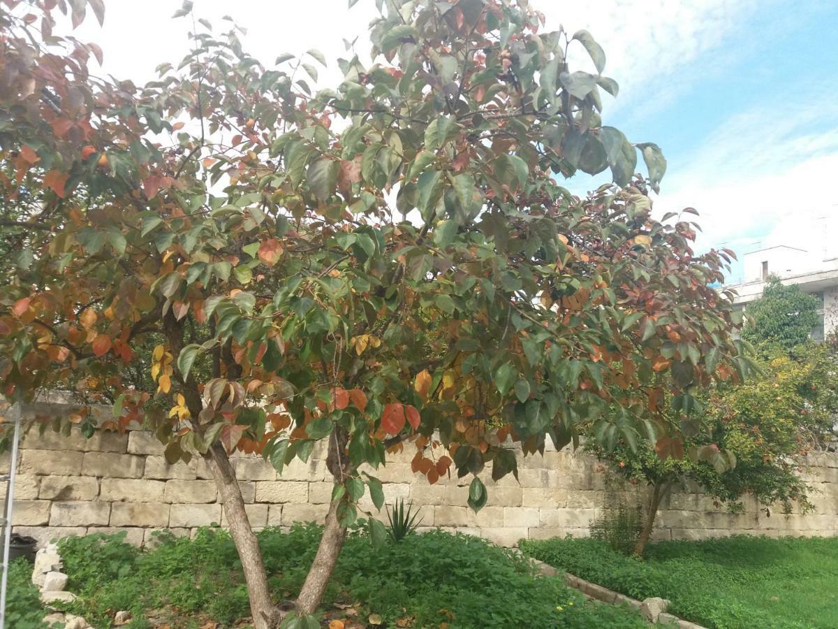 Il Giardino Delle Margherite Lecce Exterior photo